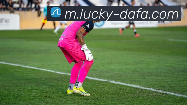 大发官网平台生态图