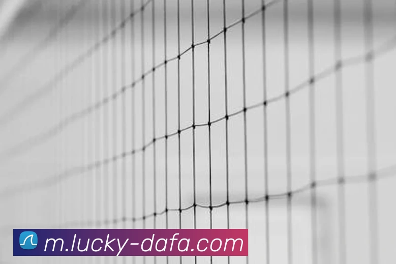 辅助工具 辅助工具